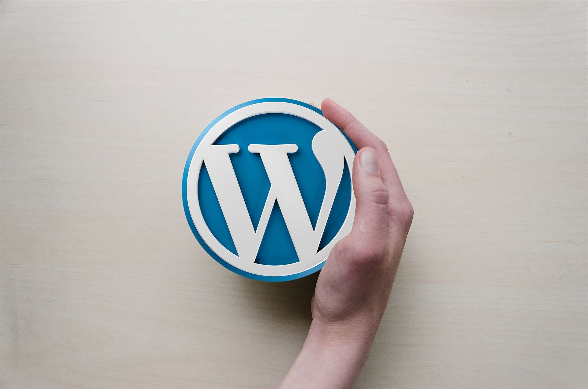 how to protect a wordpress website -  make the process of logging in more difficult